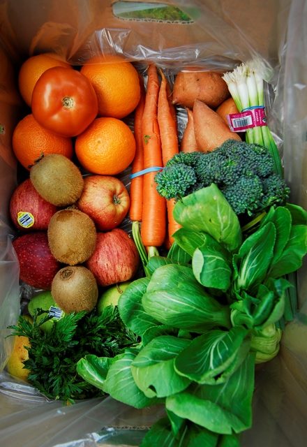 Food Bank Donation Box