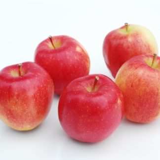 Apples, Jonagold