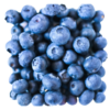 Berry, Blueberries