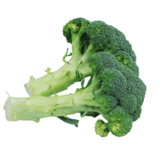 Broccoli