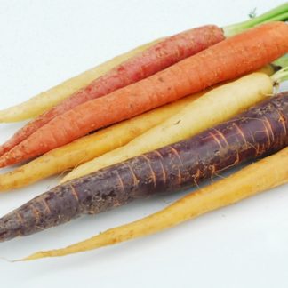 Carrots, Rainbow - Local