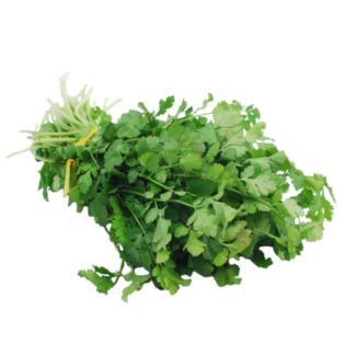 Herbs, Cilantro - Local