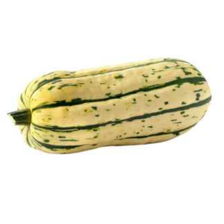 Squash, Delicata
