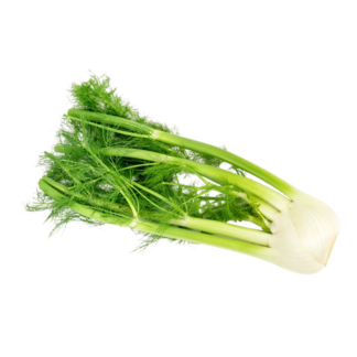 Herbs, Fennel Bulb - Local