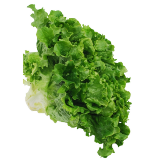 Lettuce, Green Leaf - Local