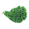 Kale, Green