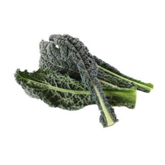 Kale, Italian (Lacinato)