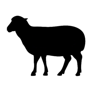 Lamb Share Deposit - 2026