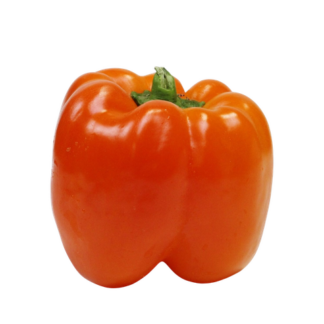 Peppers, Bell, Orange