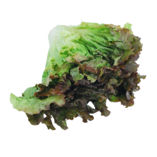 Lettuce, Red Leaf - Local