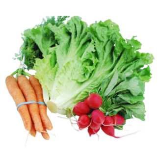 Assorted Salad Bag