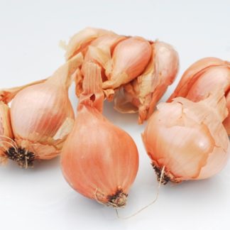 Shallots