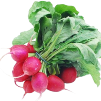 Radishes
