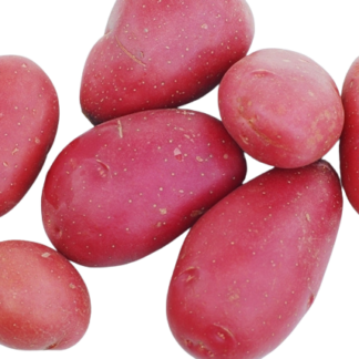 Potatoes, Red