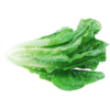 Lettuce, Romaine - Local