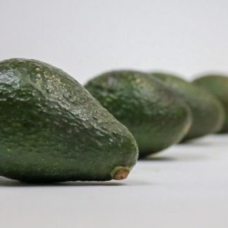 Avocados - Large