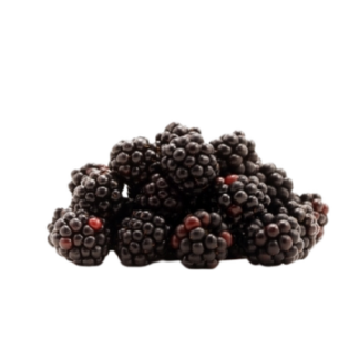 Berry, Blackberries