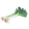 Leek - Local