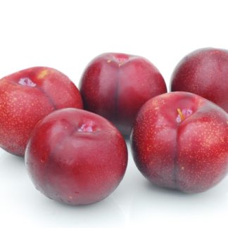 Pluot, October Gem