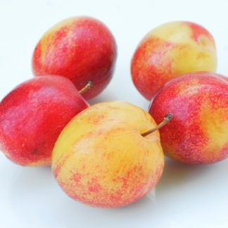 Pluots