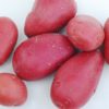 Potatoes, Red - Lb