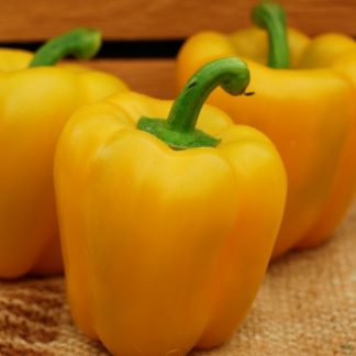 Peppers, Bell, Yellow