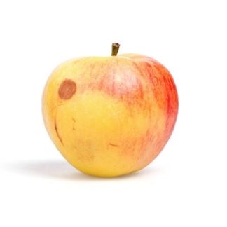 Apples, #2 (For Baking, Slightly Blemished )