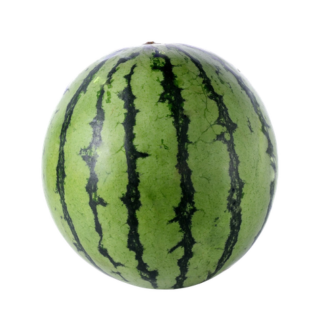 Watermelon, Mini