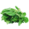 Spinach, Bunch
