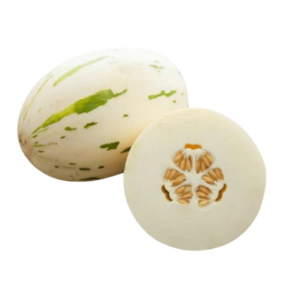 Melon, Snow Leopard