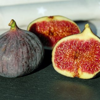Figs, Black Mission, Pint