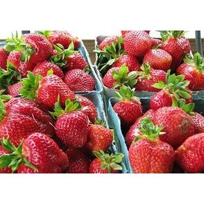 Berries, Strawberries, Local - Half Flat