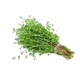 Herbs, Thyme
