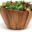 Salad Kits