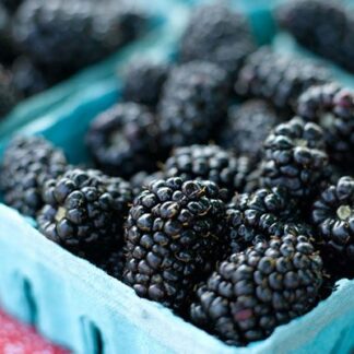 Berries, Blackberries - Open Pint - NW