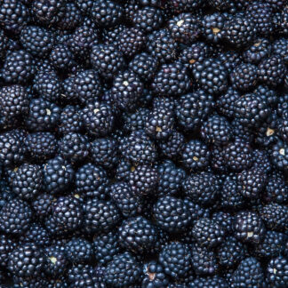 Berries, Blackberries, Local - Half Flat
