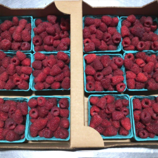 Berries, Raspberries, Flat - NW