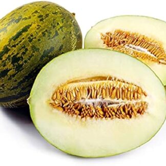 Melon, Piel De Sapo