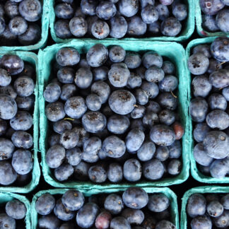 Blueberries - Open Pint - NW