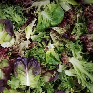 NW Lettuce Mix