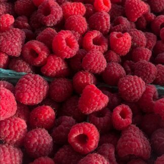 Berries, Raspberries, Local - Half Flat