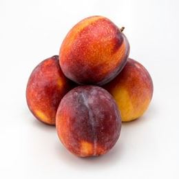 Plums, Flavor Fall