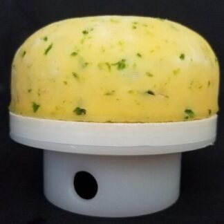 Samish Bay Cheese, Queso Jalapeno - Baby Wheel