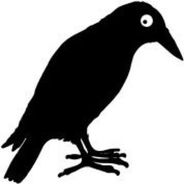 Wild Crow Pie Company