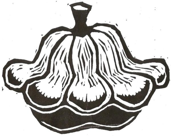 Patty Pan Cooperative